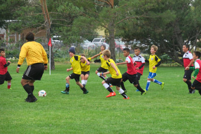 IMG_3297.jpg