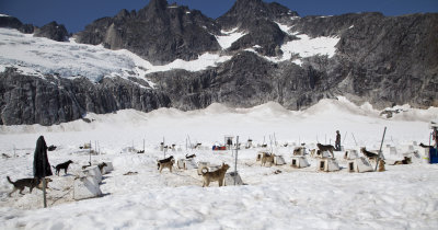 Dogs people and dog houses on glacier