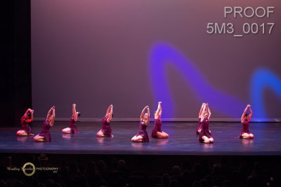 5M3_0017.jpg