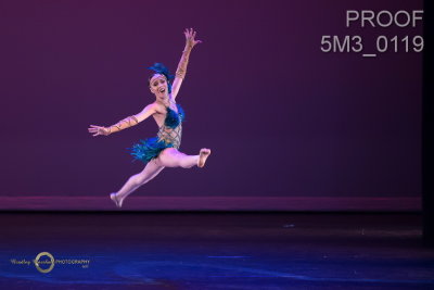 5M3_0119.jpg