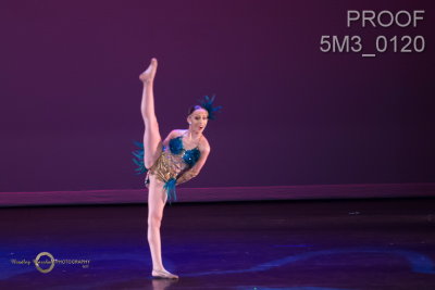 5M3_0120.jpg