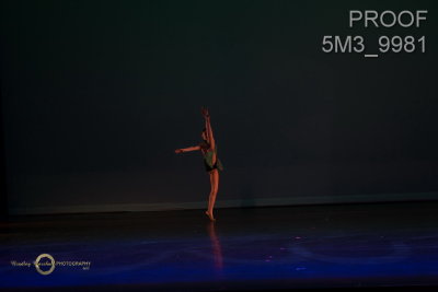 5M3_9981.jpg
