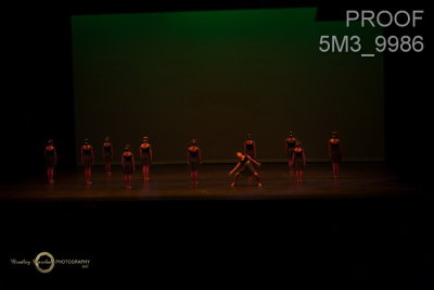 5M3_9986.jpg