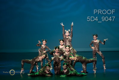 5D4_9047.jpg