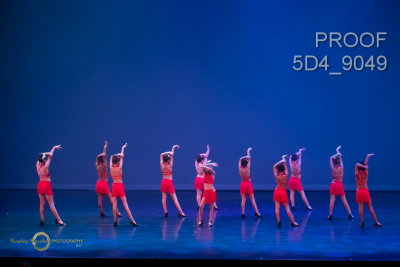 5D4_9049.jpg