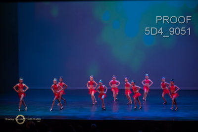 5D4_9051.jpg
