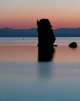 Mono Lake Tufa Osprey in Morning Twilight