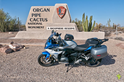 BMW R1200RS at Organ Pipe Cactus National Monument