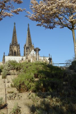 The Dom Cathedral