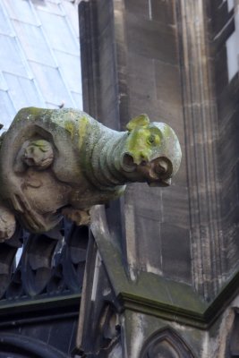 Gargouille du Dom Cathdrale - Gargoyle of the Dom Cathedral