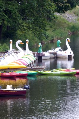 De drles de pdalos sur l'Oder - Funny pedal boats on Oder's river