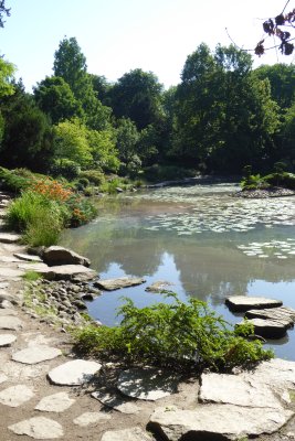 Le jardin japonais