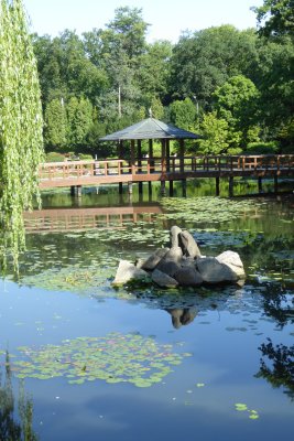 Le jardin japonais