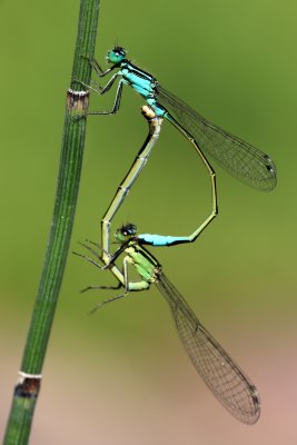IMG_0881