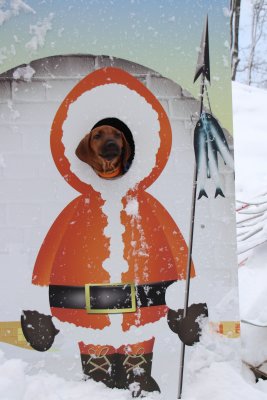 Oui! Le père Noël des animaux existe bien, c'est moi! - Of course Santa's animals really exist... It's me!