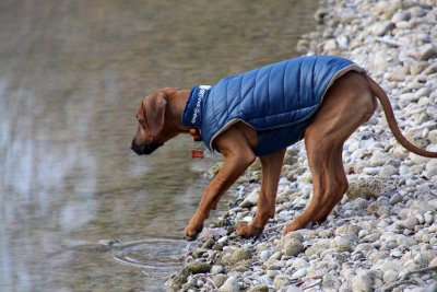 Encore un petit peu fraîche pour aller se baigner :-) Still a little cold to go swimming!