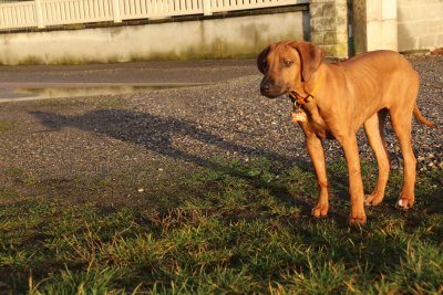 Je serai bientôt aussi grande que mon ombre - I will soon be as tall as my shadow