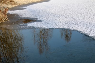 IMG_2597