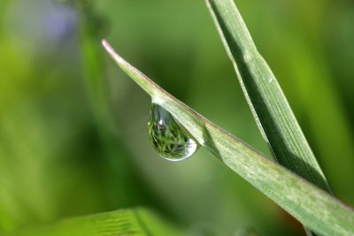 IMG_1311