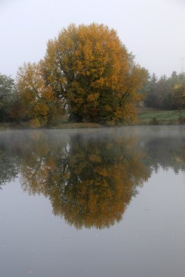 IMG_4063