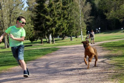 Qui de Léo ou de Nanouk arrivera premier de cette course folle? A little head start for Léo followed closely by Nanouk..