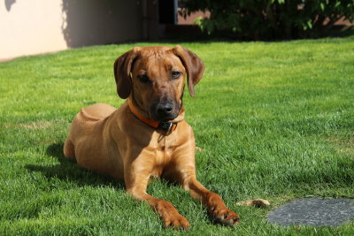 C'est l'heure de mon bain de soleil - It's time for my sunbath