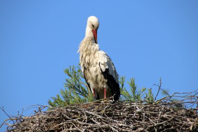 IMG_2589