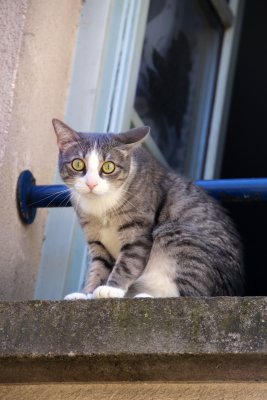 Mais qu'est-ce que c'est ? Je n'en crois pas mes yeux.... - What's that.... I can't believe it....