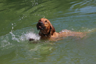 Now, that's enough! I come out of water - Maintenant ça suffit, je sors de l'eau!