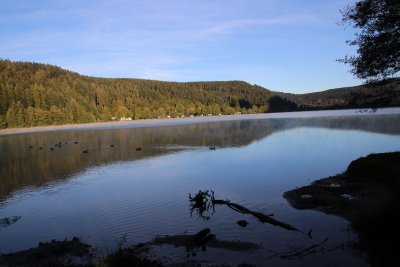 IMG_0604