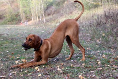 A vos marques, prêt... Courez! Ready for a little sprint!