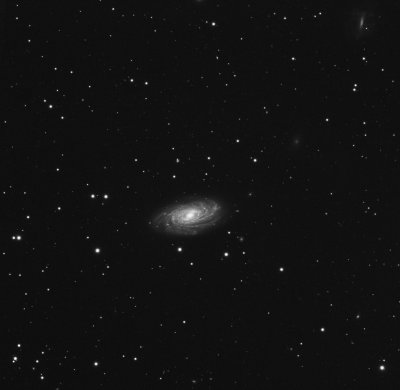 NGC3953bw.jpg