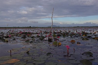 Boat trip in Thale Noi