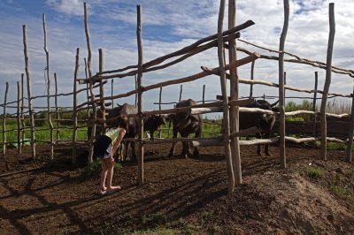 Boat trip in Thale Noi. The captain showed us his personal waterbuffalo farm.