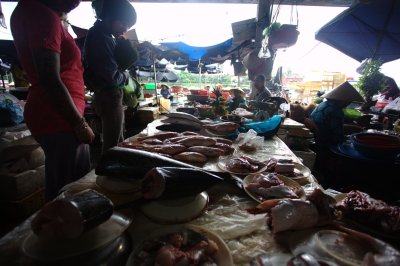 Hoi An market. Fresh fish.