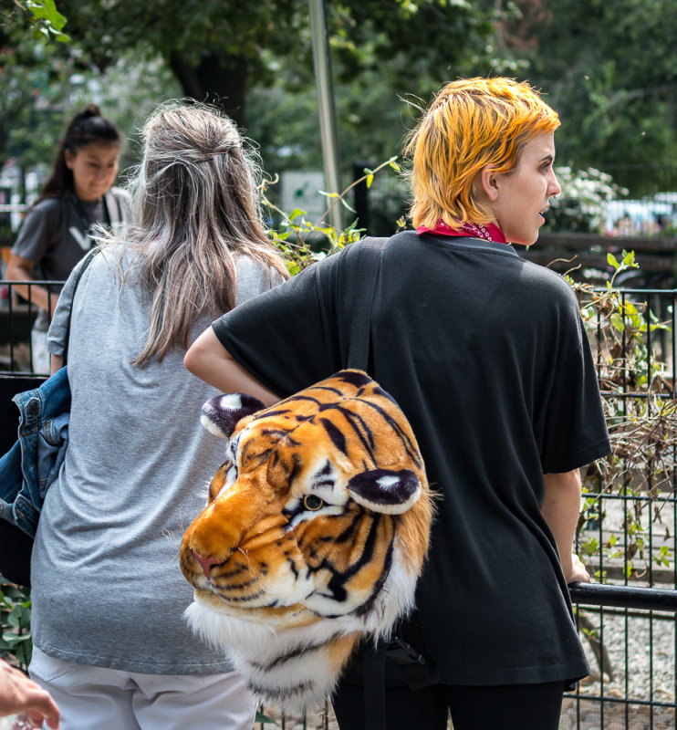 Aways Make Sure Your Hair Matches Your Tiger Purse