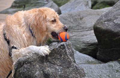 Oh, That's Where I Left My Ball