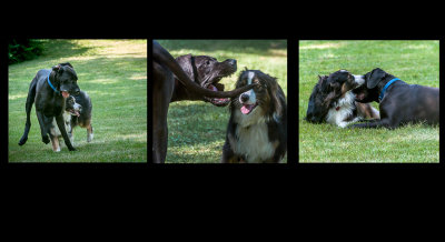 Tug and Eustace Playtime