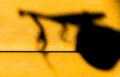 Shadow Lines