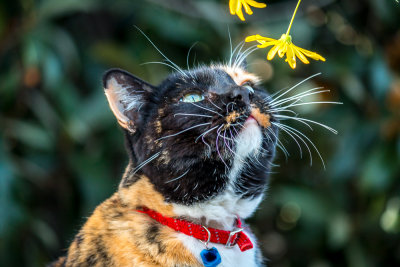 Taking Time To Smell The Flowers