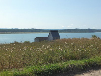 DSCF1707.JPG