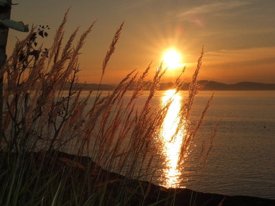 DSCF1829.JPG