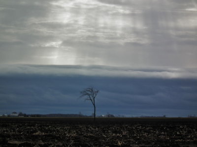 DSCF0355.JPG