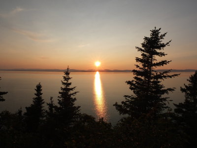 DSCF1790.JPG