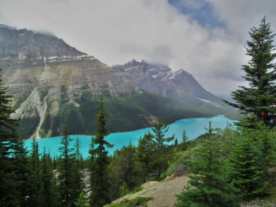 DSCF8828a.JPG