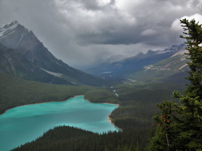 DSCF8835.JPG