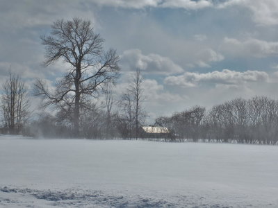 DSCF8514.JPG