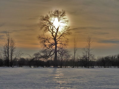 DSCF5530.JPG