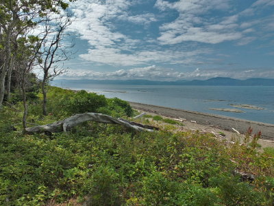 DSCF7189.JPG