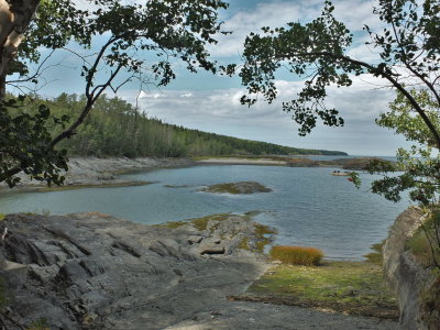 DSCF7274.JPG
